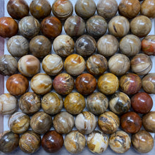 Bild in Galerie-Viewer laden, Petrified Wood 22mm Spheres