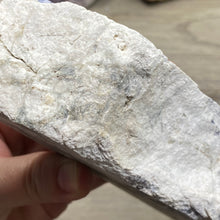 Chargez l'image dans la visionneuse de la galerie, Sodalite Rough #05