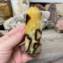 Load image into Gallery viewer, Septarian Double Point #02 - 4.34"/110mm