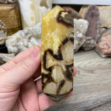 Load image into Gallery viewer, Septarian Double Point #02 - 4.34"/110mm