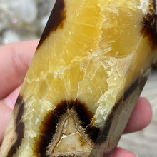 Load image into Gallery viewer, Septarian Double Point #02 - 4.34"/110mm