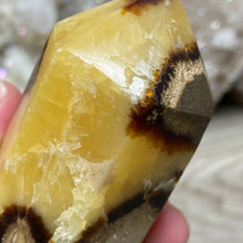 Load image into Gallery viewer, Septarian Double Point #02 - 4.34"/110mm