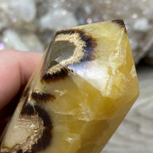 Load image into Gallery viewer, Septarian Double Point #02 - 4.34"/110mm