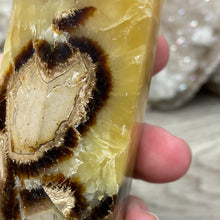 Load image into Gallery viewer, Septarian Double Point #02 - 4.34"/110mm