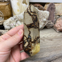 Load image into Gallery viewer, Septarian Double Point #03 - 4.73"/120mm