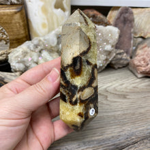 Load image into Gallery viewer, Septarian Double Point #03 - 4.73"/120mm