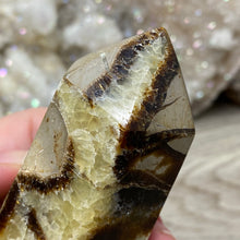 Load image into Gallery viewer, Septarian Double Point #03 - 4.73"/120mm