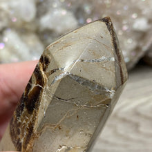 Load image into Gallery viewer, Septarian Double Point #03 - 4.73"/120mm