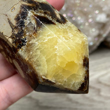 Load image into Gallery viewer, Septarian Double Point #03 - 4.73"/120mm