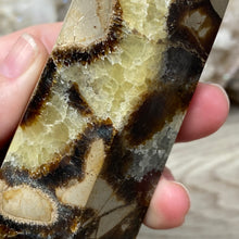 Load image into Gallery viewer, Septarian Double Point #03 - 4.73"/120mm