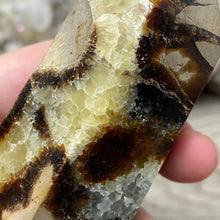 Load image into Gallery viewer, Septarian Double Point #03 - 4.73"/120mm