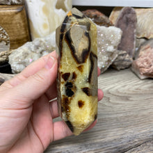 Load image into Gallery viewer, Septarian Double Point #04 - 4.88"/124mm