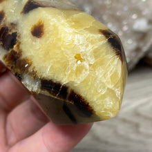 Load image into Gallery viewer, Septarian Double Point #04 - 4.88"/124mm