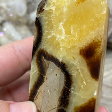Load image into Gallery viewer, Septarian Double Point #04 - 4.88"/124mm