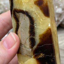 Load image into Gallery viewer, Septarian Double Point #04 - 4.88"/124mm