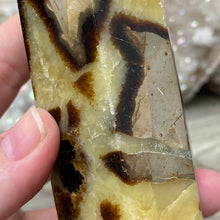 Load image into Gallery viewer, Septarian Double Point #04 - 4.88"/124mm