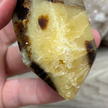 Load image into Gallery viewer, Septarian Double Point #04 - 4.88"/124mm