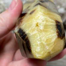 Load image into Gallery viewer, Septarian Double Point #04 - 4.88"/124mm