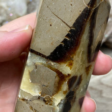 Load image into Gallery viewer, Septarian Double Point #04 - 4.88"/124mm