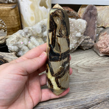 将图像加载到图库查看器中,Septarian Double Point #05 - 5.81"/147mm