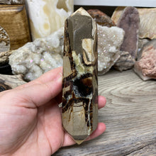 将图像加载到图库查看器中,Septarian Double Point #05 - 5.81"/147mm