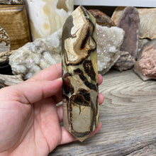 将图像加载到图库查看器中,Septarian Double Point #05 - 5.81"/147mm