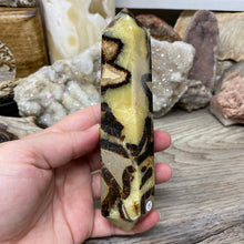 将图像加载到图库查看器中,Septarian Double Point #05 - 5.81"/147mm