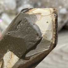 将图像加载到图库查看器中,Septarian Double Point #05 - 5.81"/147mm