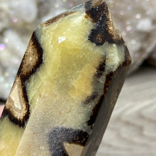 将图像加载到图库查看器中,Septarian Double Point #05 - 5.81"/147mm