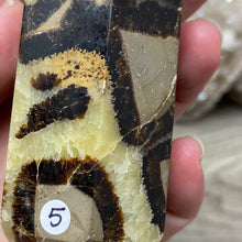 将图像加载到图库查看器中,Septarian Double Point #05 - 5.81"/147mm