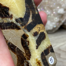 将图像加载到图库查看器中,Septarian Double Point #05 - 5.81"/147mm