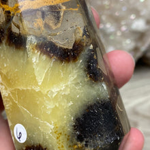 Load image into Gallery viewer, Septarian Double Point #06 - 5.37"/136mm