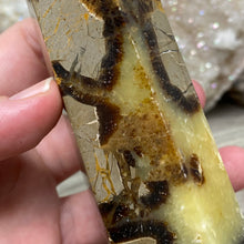 Load image into Gallery viewer, Septarian Double Point #06 - 5.37"/136mm