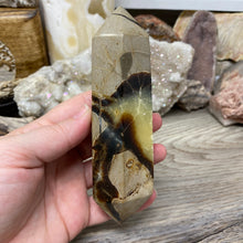 Load image into Gallery viewer, Septarian Double Point #07 - 5.52"/141mm