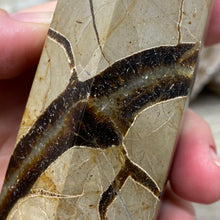 Load image into Gallery viewer, Septarian Double Point #07 - 5.52"/141mm