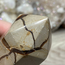 Load image into Gallery viewer, Septarian Double Point #07 - 5.52"/141mm