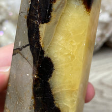 Bild in Galerie-Viewer laden, Septarian Double Point #08 - 5.47"/139mm