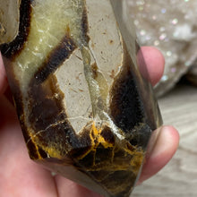 Bild in Galerie-Viewer laden, Septarian Double Point #09 - 5.37"/136mm