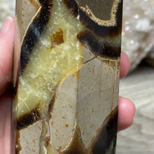 Bild in Galerie-Viewer laden, Septarian Double Point #09 - 5.37"/136mm