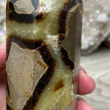 Bild in Galerie-Viewer laden, Septarian Double Point #09 - 5.37"/136mm