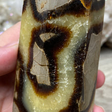 Bild in Galerie-Viewer laden, Septarian Double Point #09 - 5.37"/136mm