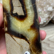 Bild in Galerie-Viewer laden, Septarian Double Point #09 - 5.37"/136mm