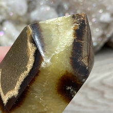 Bild in Galerie-Viewer laden, Septarian Double Point #09 - 5.37"/136mm