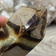 Bild in Galerie-Viewer laden, Septarian Double Point #09 - 5.37"/136mm