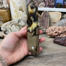 Bild in Galerie-Viewer laden, Septarian Double Point #10 - 6.94"/176mm