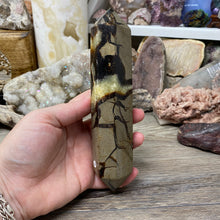 Bild in Galerie-Viewer laden, Septarian Double Point #10 - 6.94"/176mm