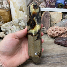 Bild in Galerie-Viewer laden, Septarian Double Point #10 - 6.94"/176mm