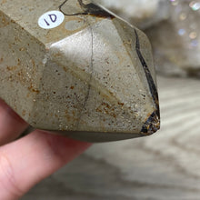 Bild in Galerie-Viewer laden, Septarian Double Point #10 - 6.94"/176mm