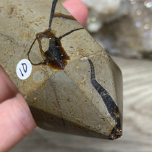 Bild in Galerie-Viewer laden, Septarian Double Point #10 - 6.94"/176mm