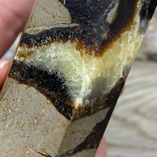 Bild in Galerie-Viewer laden, Septarian Double Point #10 - 6.94"/176mm